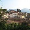 barga36