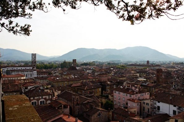 view-from-torre-guinigi