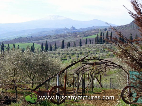 Val d'Orcia