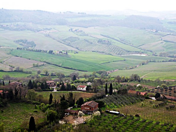 montepulciano21