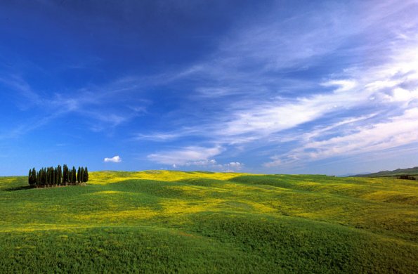 Europe, Italy, Val d'Orcia