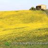 Val d'Orcia