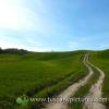 Val d'Orcia